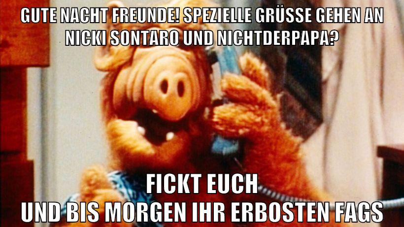 gute nacht freunde! spezielle grüße gehen an nicki sontaro und nichtderpapa? fickt euch und bis morgen ihr erbosten fags