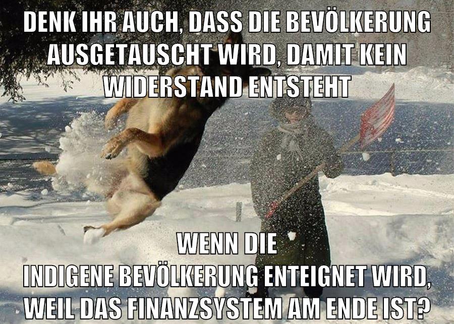 denk ihr auch, dass die bevölkerung ausgetauscht wird, damit kein Widerstand entsteht wenn die indigene bevölkerung enteignet wird, weil das finanzsystem am ende ist?