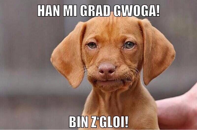 Han mi grad gwoga! Bin z‘gloi!