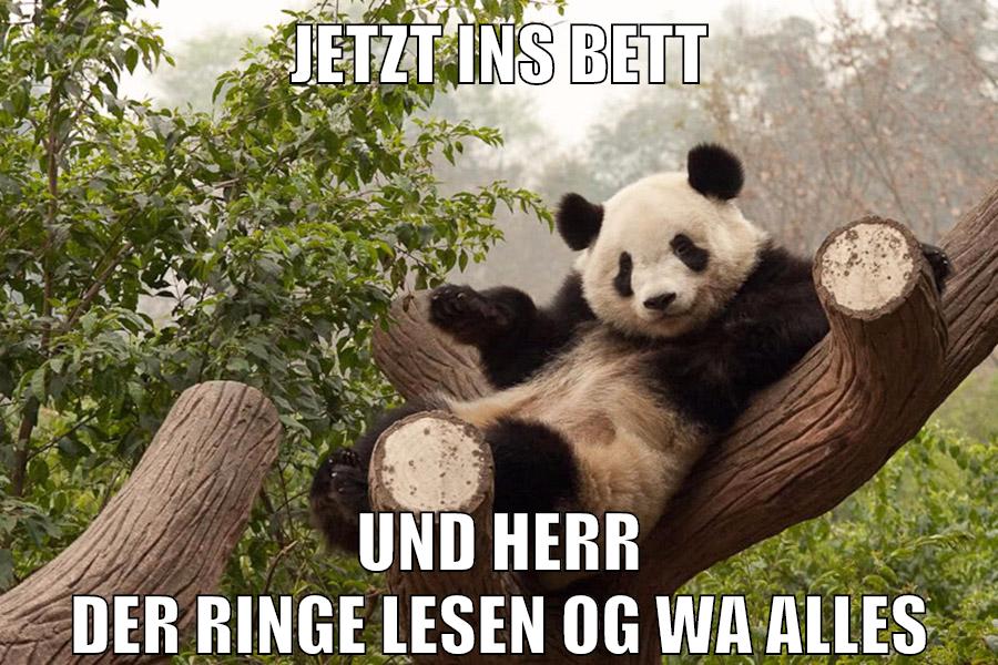 jetzt ins bett und herr der ringe lesen og wa alles