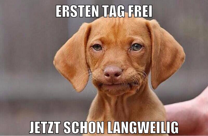 ersten tag frei jetzt schon langweilig