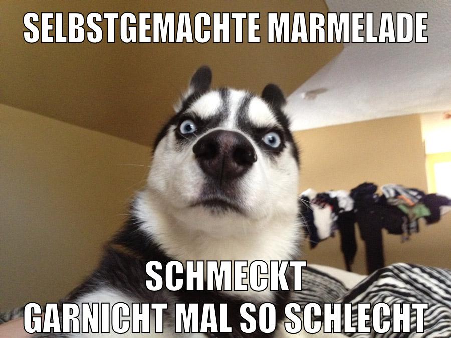 Selbstgemachte Marmelade Schmeckt garnicht mal so schlecht