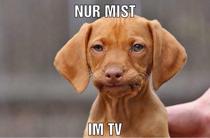 NUR MIST IM TV