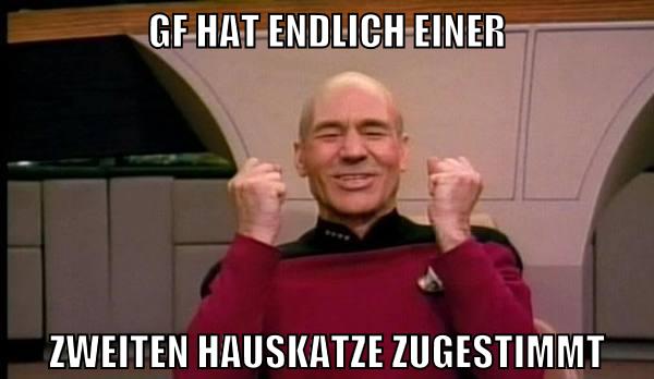 gf hat endlich einer zweiten hauskatze zugestimmt