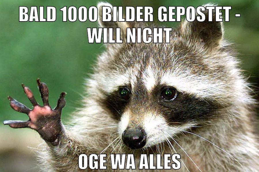Bald 1000 Bilder gepostet - will nicht oge wa alles