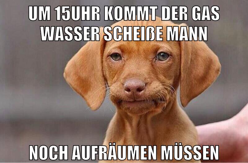 um 15uhr kommt der gas wasser scheiße mann noch aufräumen müssen