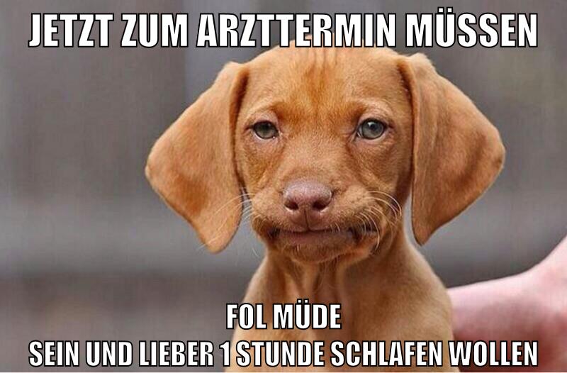 jetzt zum arzttermin müssen fol müde sein und lieber 1 stunde schlafen wollen