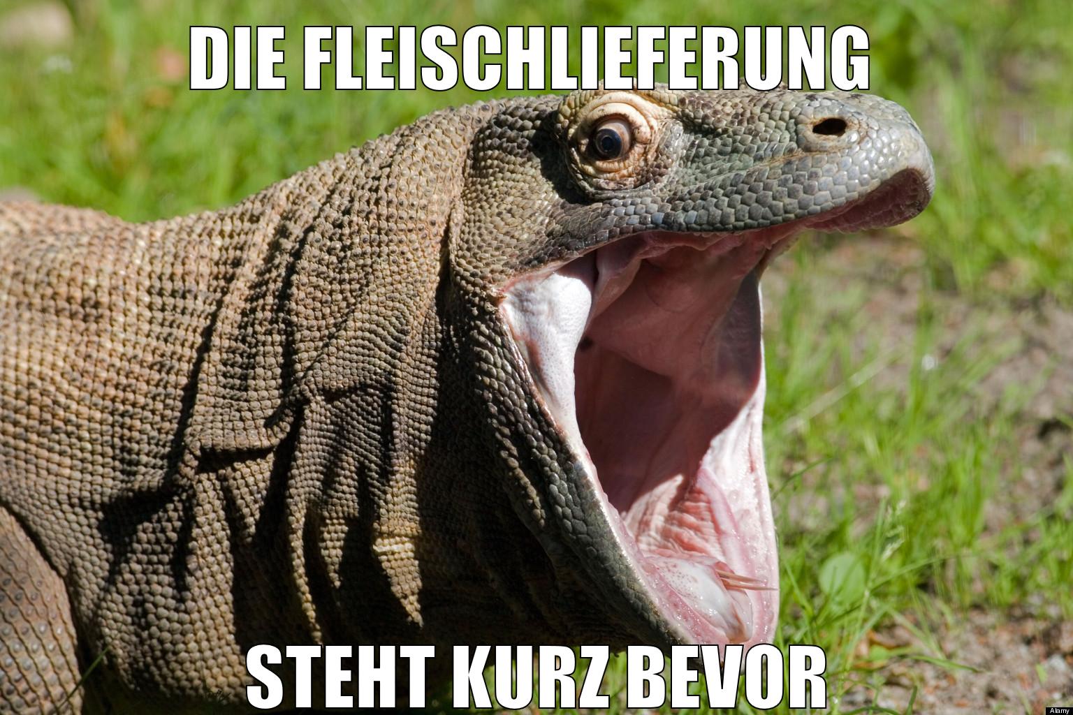 Die Fleischlieferung steht kurz bevor