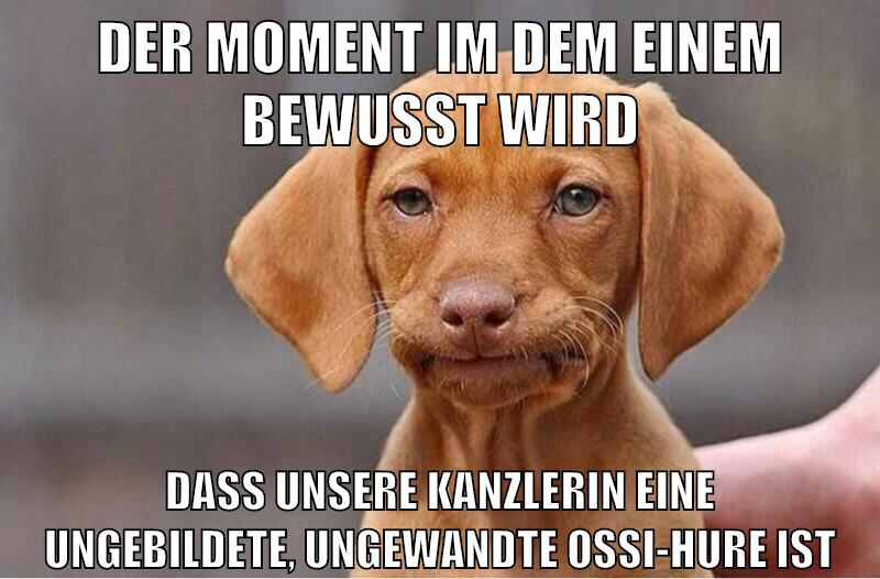 der moment im dem einem bewusst wird dass unsere kanzlerin eine ungebildete, ungewandte ossi-hure ist