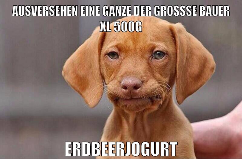 ausversehen eine ganze der großse bauer xl 500g Erdbeerjogurt