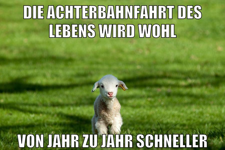 die achterbahnfahrt des lebens wird wohl von jahr zu jahr schneller