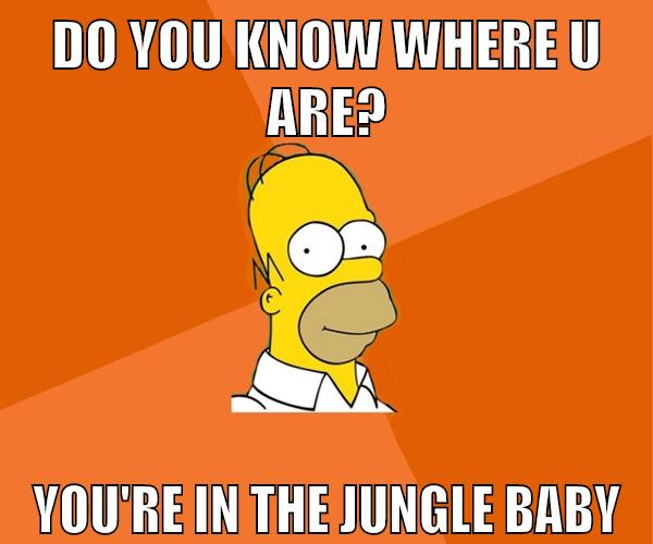 do you know where u are? you're in the jungle baby