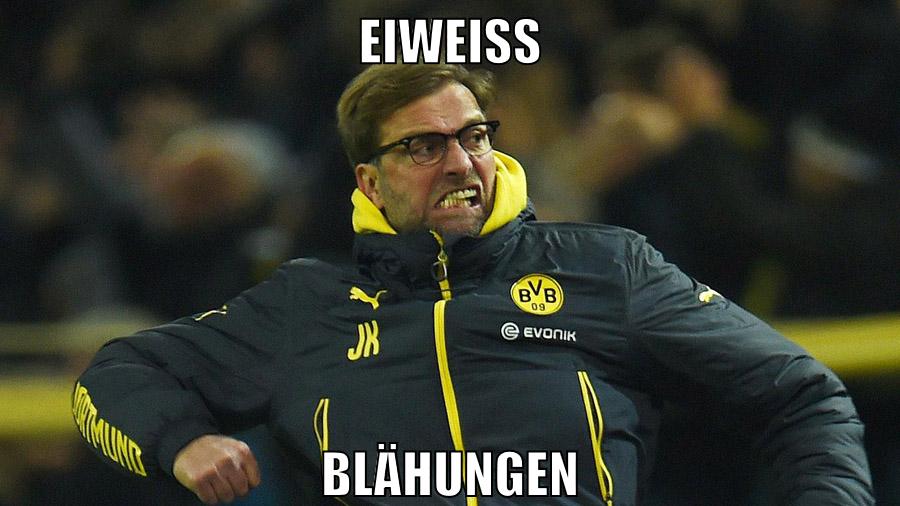 eiweiss Blähungen
