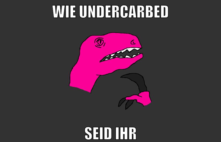 wie undercarbed seid ihr