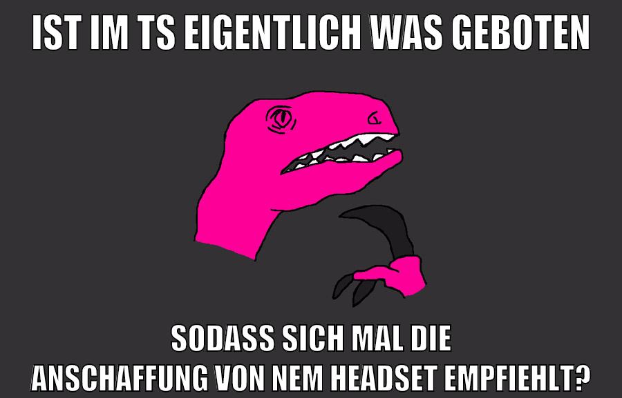ist im TS eigentlich was geboten sodass sich mal die anschaffung von nem headset empfiehlt?