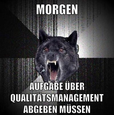 morgen aufgabe über qualitätsmanagement abgeben müssen
