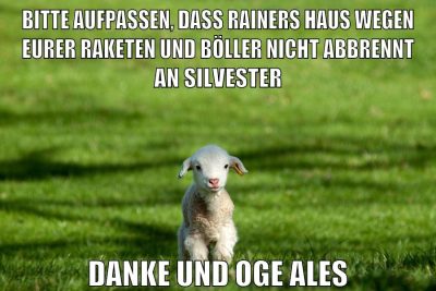 bitte aufpassen, dass rainers haus wegen eurer raketen und böller nicht abbrennt an silvester danke und oge ales