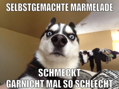 Selbstgemachte Marmelade Schmeckt garnicht mal so schlecht