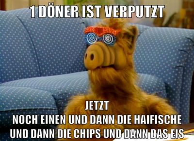 DickeRadieschens RealLife Abenteuer