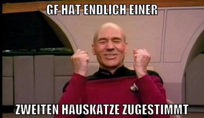 gf hat endlich einer zweiten hauskatze zugestimmt