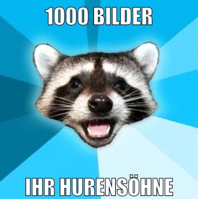 1000 bilder ihr hurensöhne