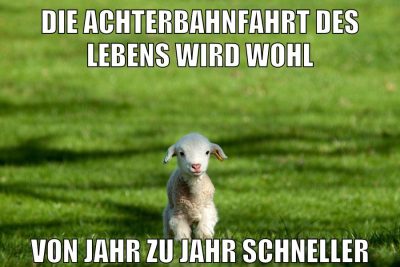die achterbahnfahrt des lebens wird wohl von jahr zu jahr schneller