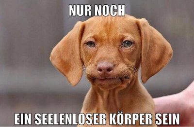 nur noch ein seelenloser körper sein