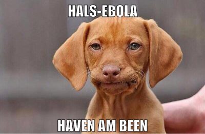 hals-ebola haven am been