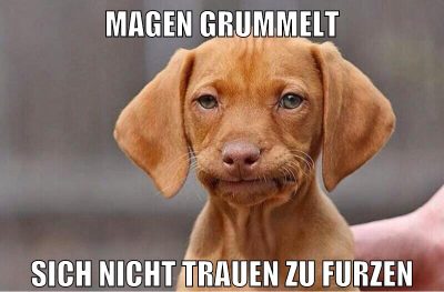 Magen grummelt sich nicht trauen zu furzen