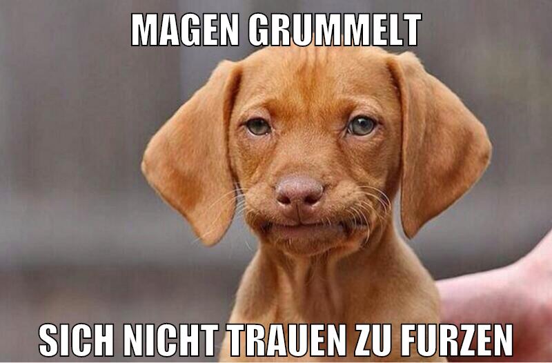 Magen grummelt sich nicht trauen zu furzen