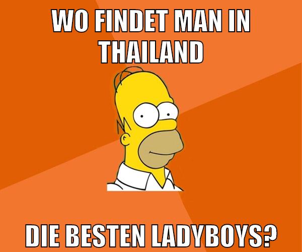 Wo findet man in Thailand die besten ladyboys?