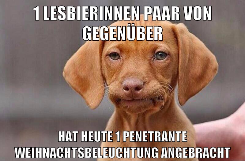 1 lesbierinnen paar von gegenüber hat heute 1 penetrante weihnachtsbeleuchtung angebracht