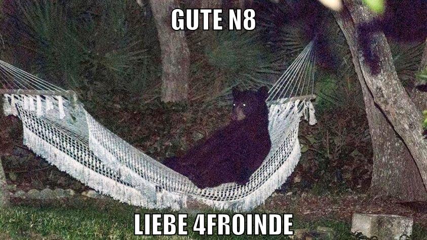 gute n8 liebe 4froinde