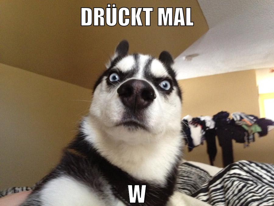 Drückt mal W