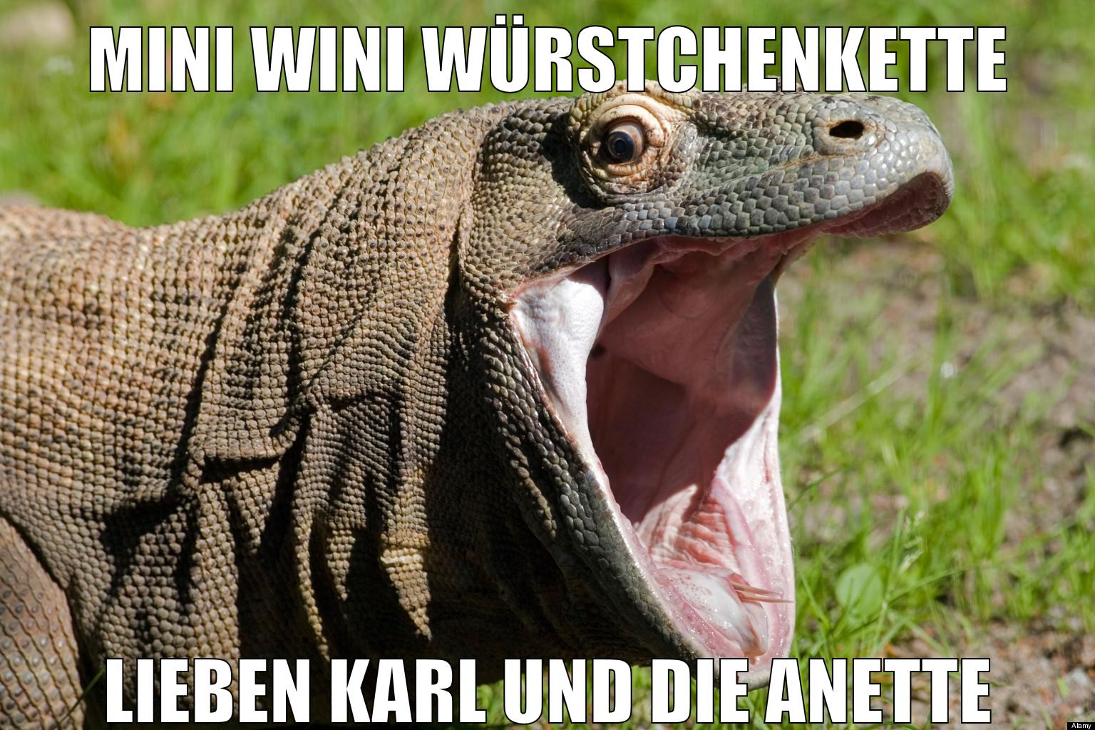 mini wini würstchenkette lieben karl und die anette