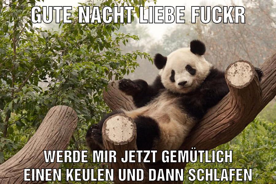 Gute Nacht liebe Fuckr Werde mir jetzt gemütlich einen keulen und dann schlafen