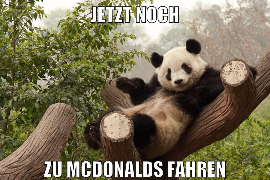JETZT NOCH ZU MCDONALDS FAHREN
