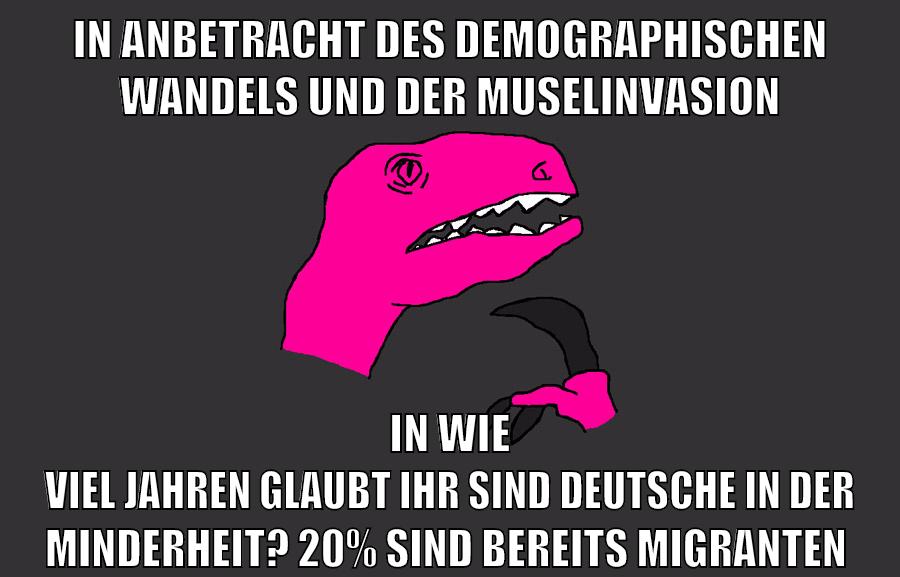 In anbetracht des Demographischen wandels und der muselinvasion in wie viel jahren glaubt ihr sind deutsche in der Minderheit? 20% sind bereits migranten
