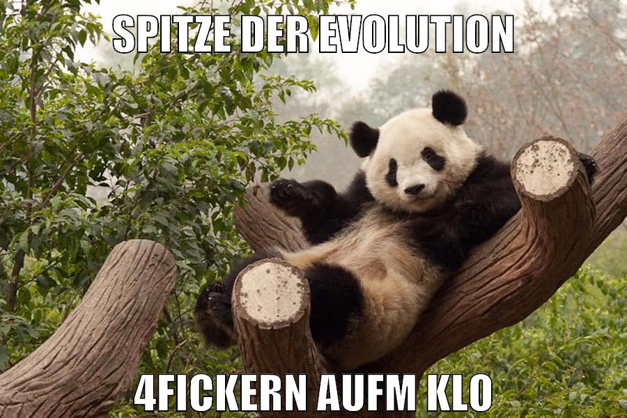 spitze der evolution 4fickern aufm klo