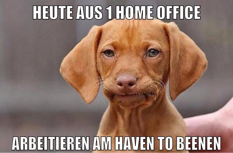 heute aus 1 home office arbeitieren am haven to beenen
