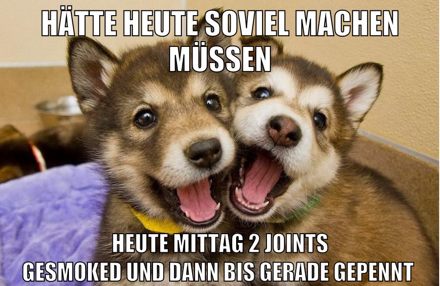 hätte heute soviel machen müssen heute mittag 2 joints gesmoked und dann bis gerade gepennt