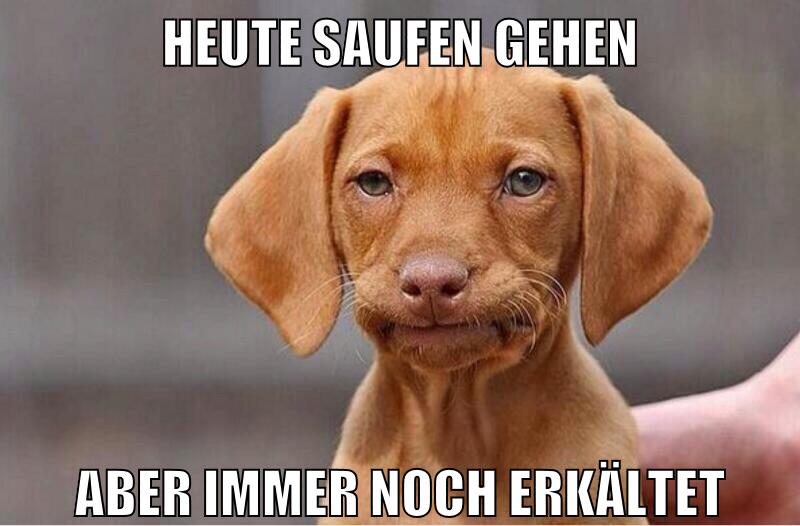 heute saufen gehen aber immer noch erkältet
