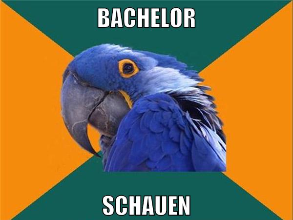 bachelor schauen