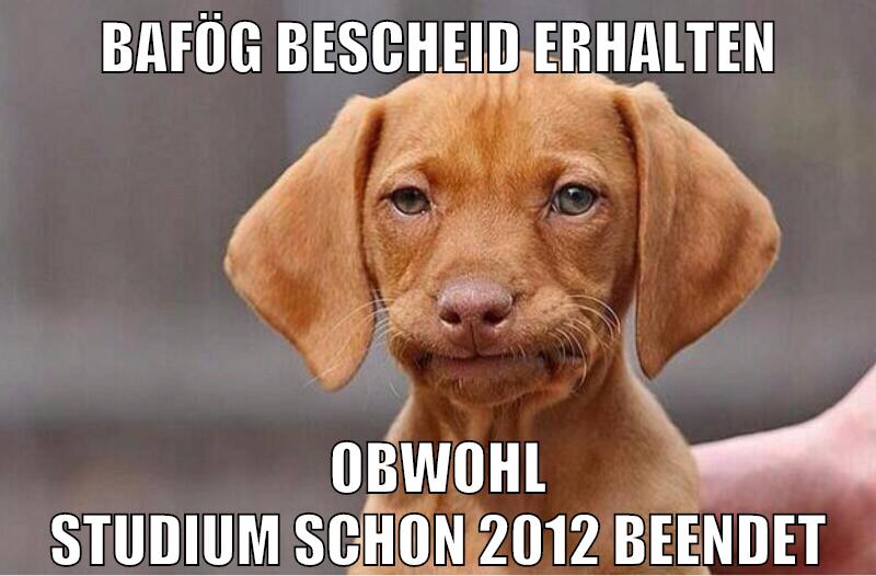 Bafög Bescheid erhalten obwohl studium schon 2012 beendet