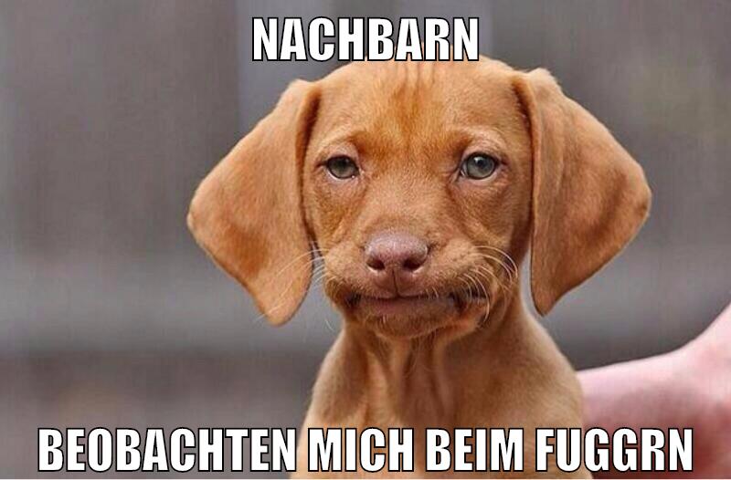 nachbarn beobachten mich beim fuggrn