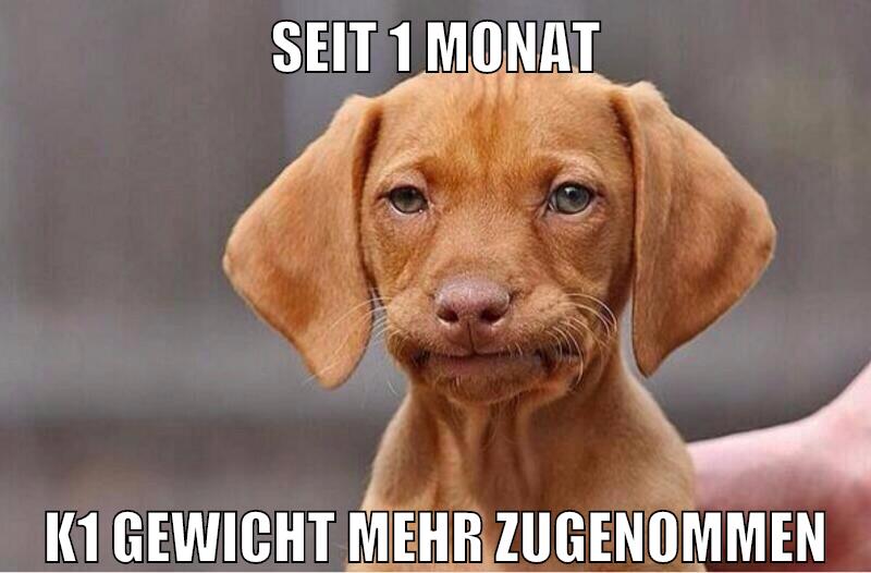 seit 1 monat k1 gewicht mehr zugenommen