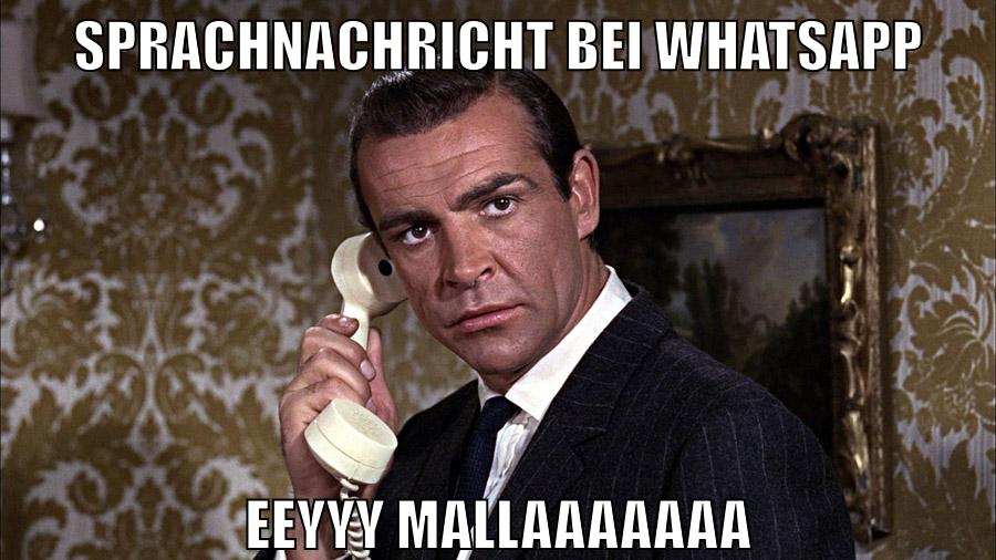 sprachnachricht bei whatsapp eeyyy mallaaaaaaa