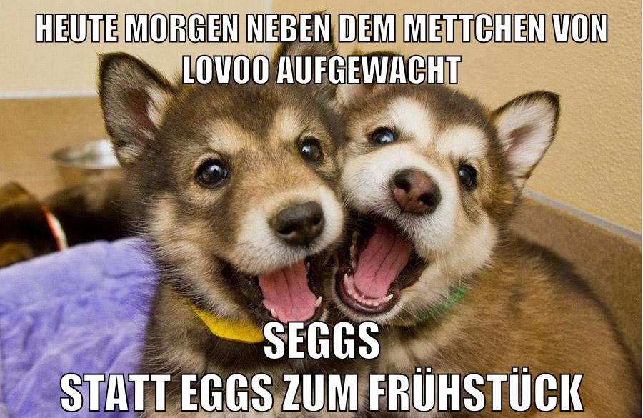 heute morgen neben dem mettchen von lovoo aufgewacht seggs statt eggs zum frühstück