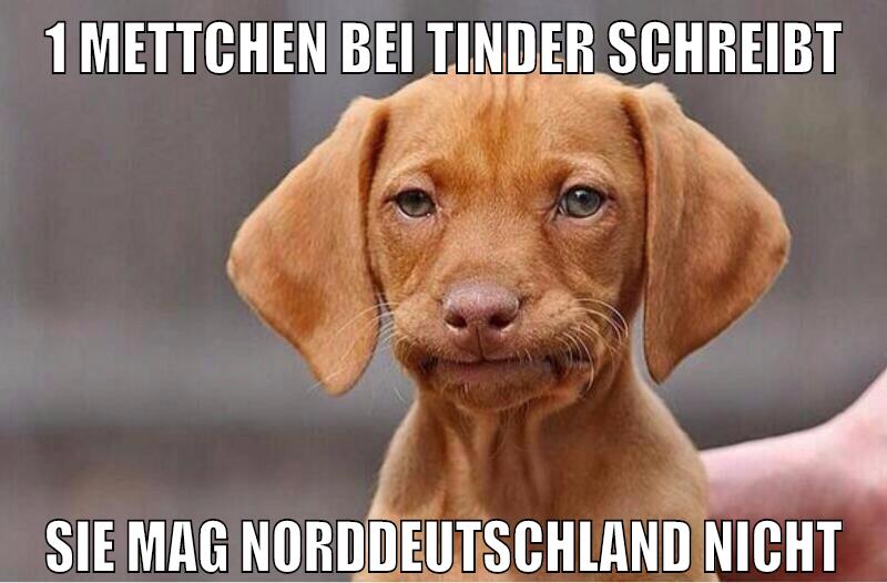 1 mettchen bei tinder schreibt sie mag norddeutschland nicht