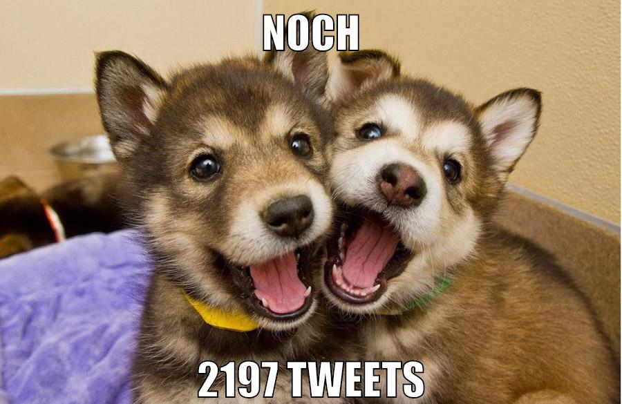 Noch 2197 Tweets